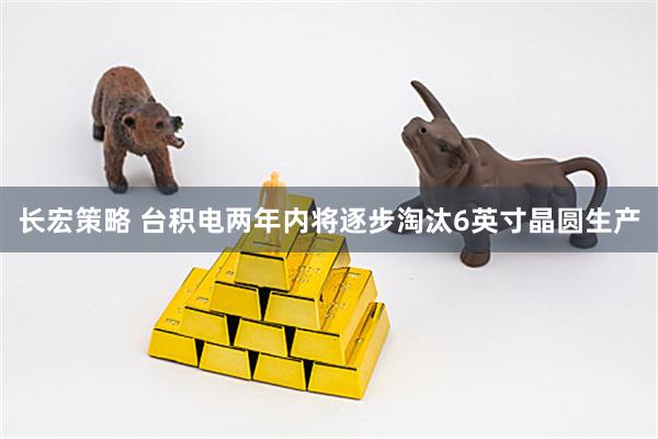 长宏策略 台积电两年内将逐步淘汰6英寸晶圆生产